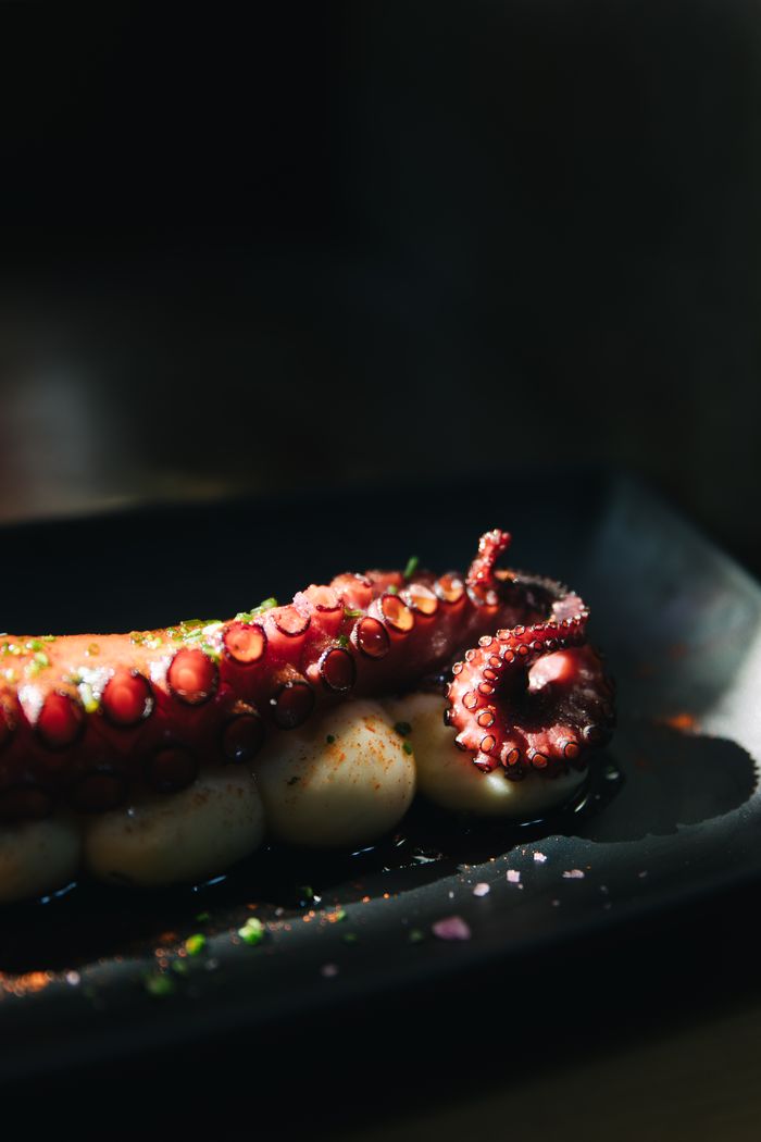 Grilled octopus with potato purée, food photography